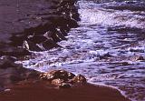 171-Gozo,Ir Ramlia,31 agosto 2006